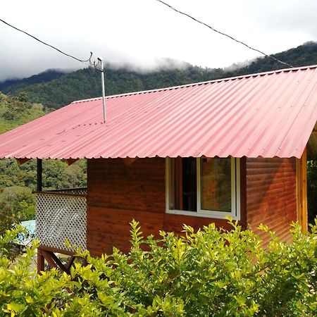 Mario'S Lodge Providencia Copey المظهر الخارجي الصورة