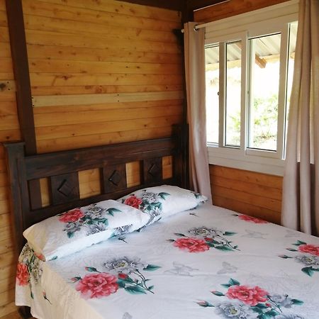 Mario'S Lodge Providencia Copey المظهر الخارجي الصورة
