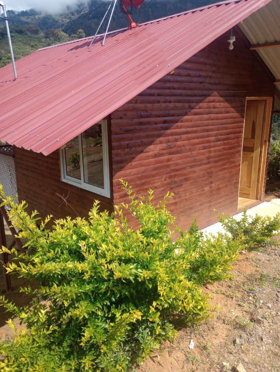 Mario'S Lodge Providencia Copey المظهر الخارجي الصورة