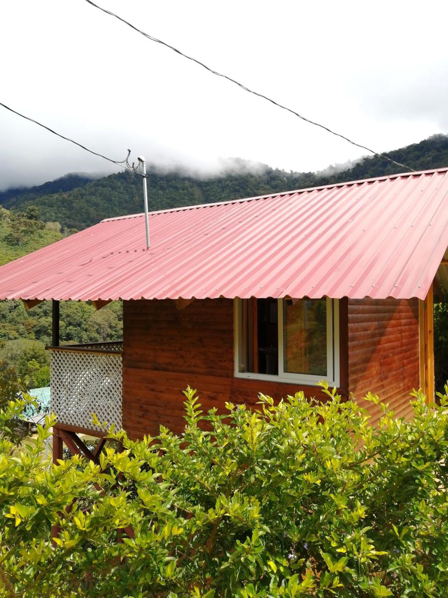 Mario'S Lodge Providencia Copey المظهر الخارجي الصورة